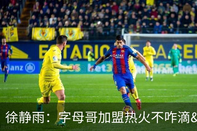 徐静雨：字母哥加盟热火不咋滴&价格卖低了 不如去绿军联手塔图姆